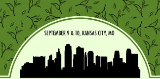 Midwest Tea Festival Giveaway